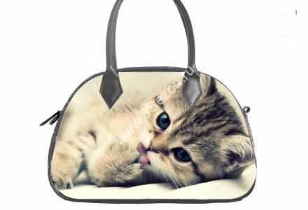 Женская сумка LORENZO   3011 котик